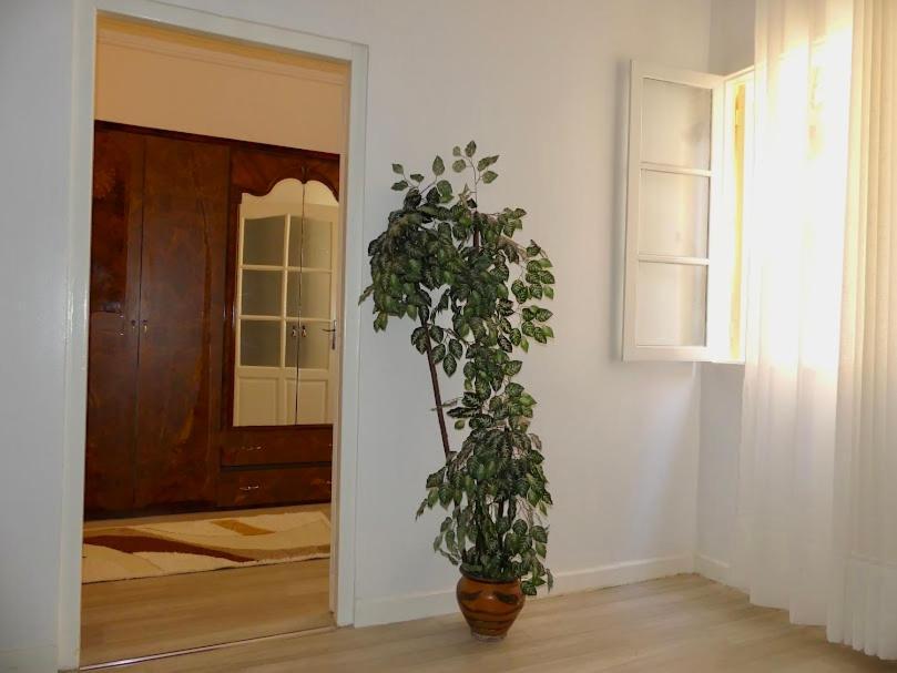 A Cozy Home Right In The Heart Of Tanger Eksteriør bilde